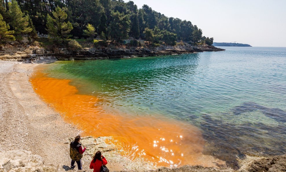 Sluz na plaži kod Pule - ilustracija