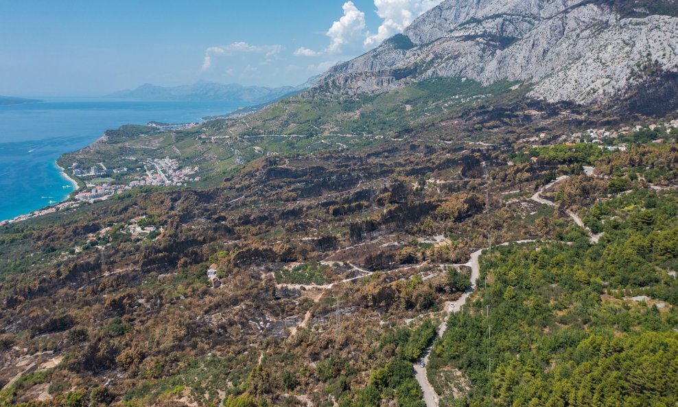 Biokovo nakon požara