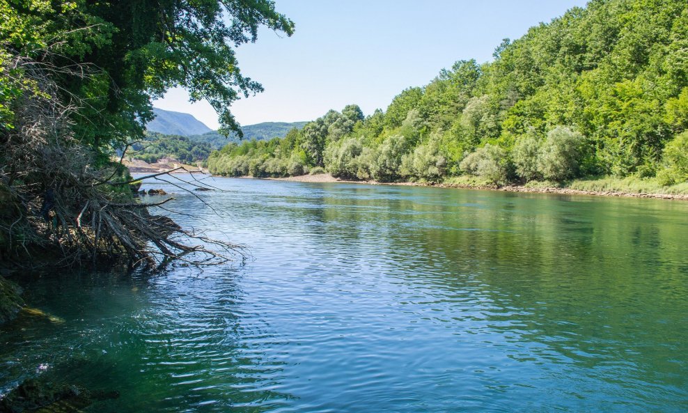 Drina