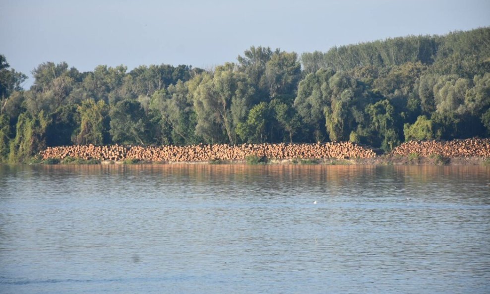 Fotografija je snimljena s apatinske strane Dunava