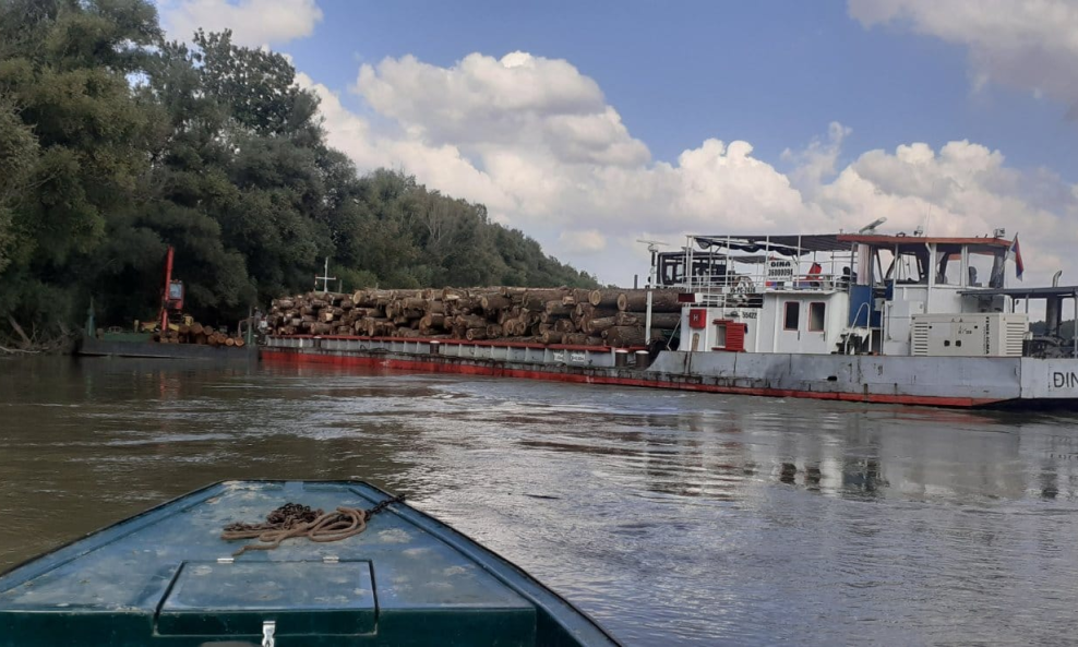 Prijevoz drvenih trupaca s hrvatske obale rijeke Dunav