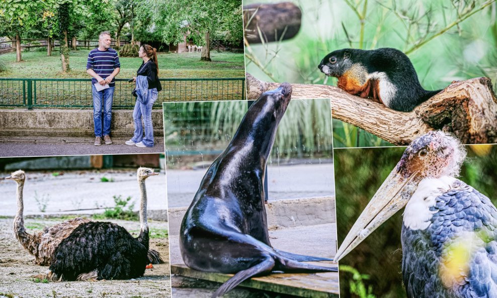 Zoološki vrt Grada Zagreba