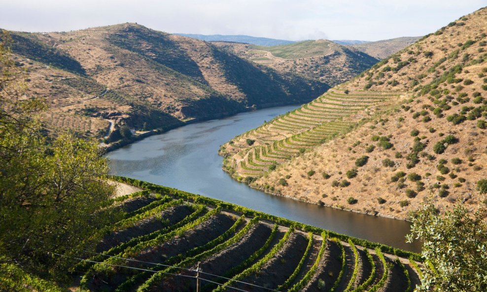 Stepenasti vinogradi doline Douro, Portugal