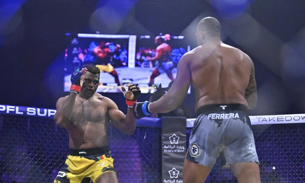 Francis Ngannou vs Renan Ferreira