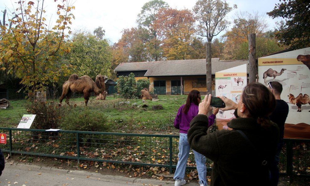 U zagrebački Zoološki vrt stigla treća deva