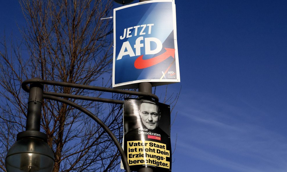 AfD, Njemačka