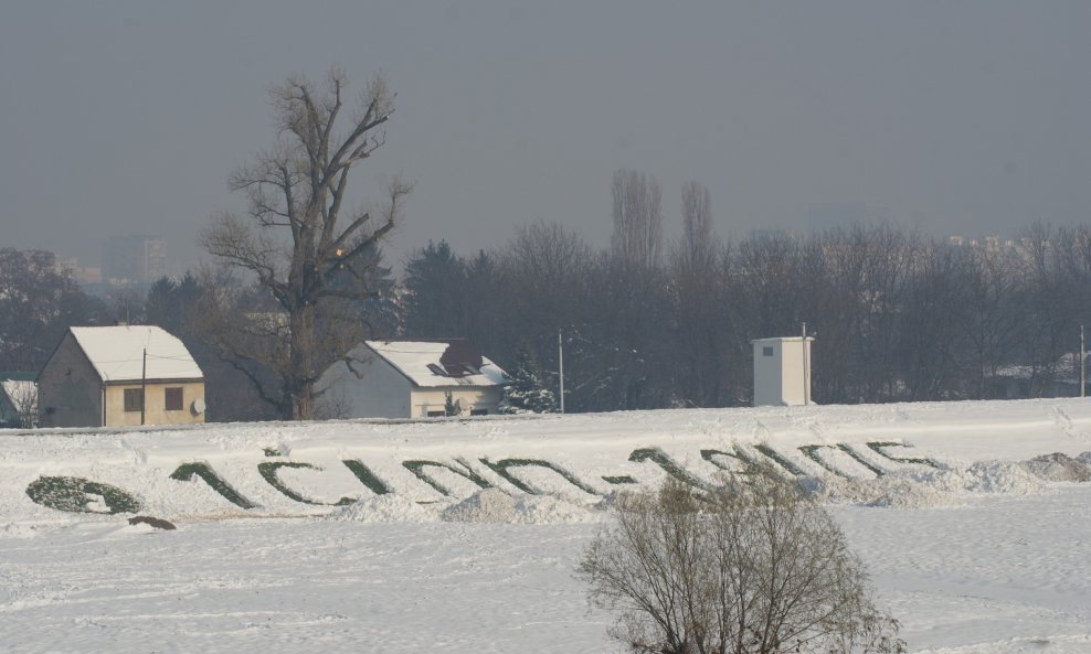 1 član 1 glas ZZD pravi