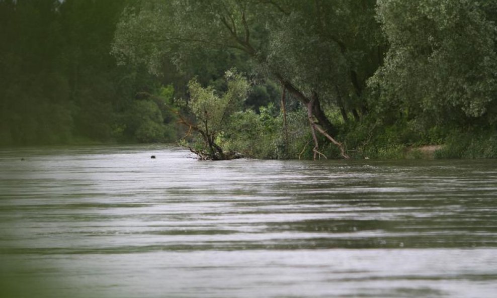 Drava