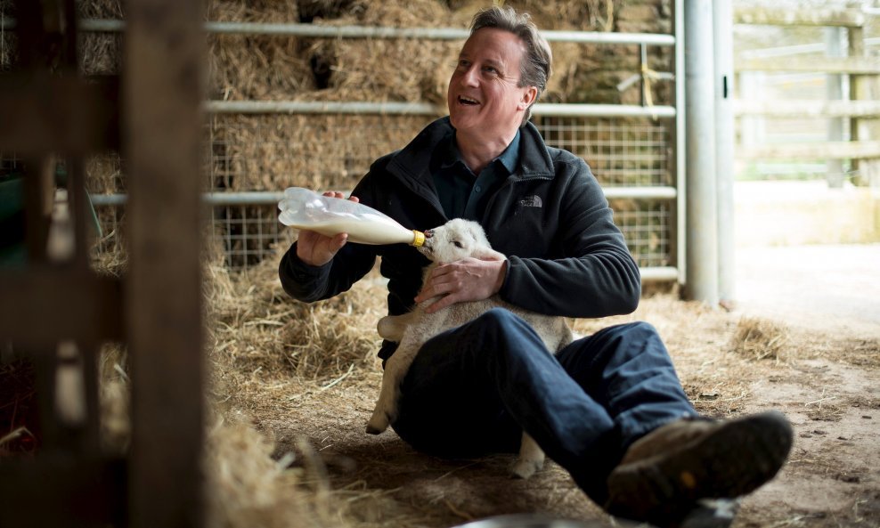 David Cameron