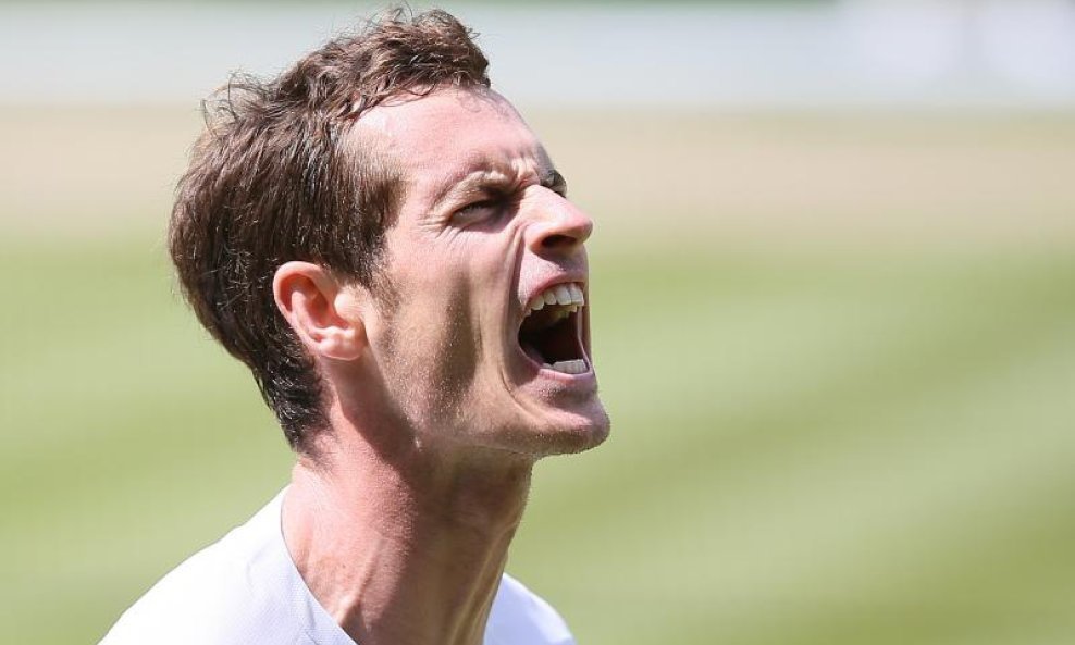 Andy Murray