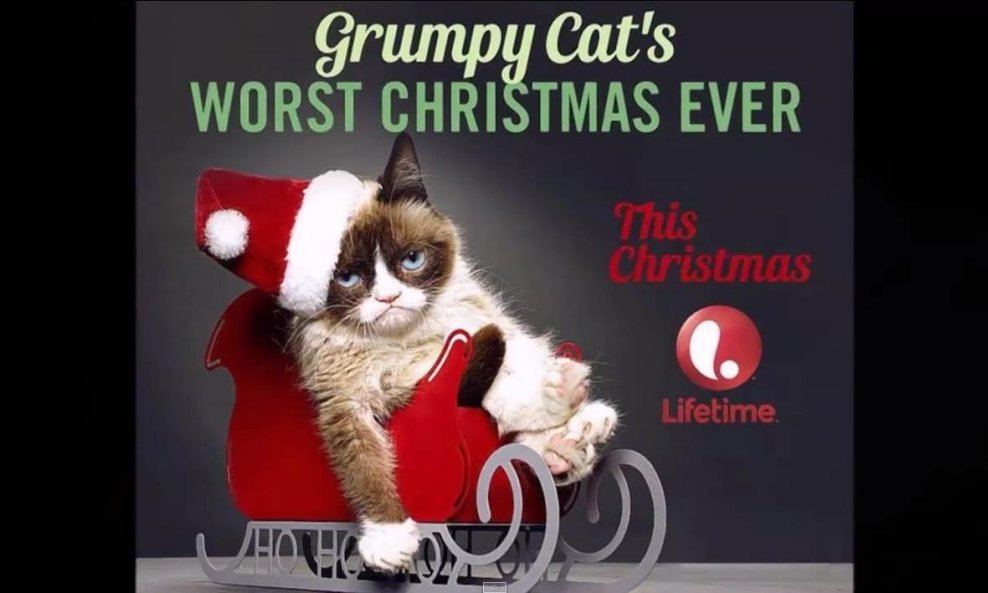 grumpy cat funvideo