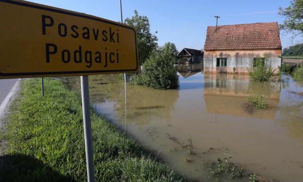 Posavski podgajci