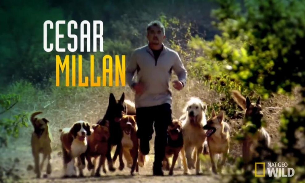 Cesar Millan