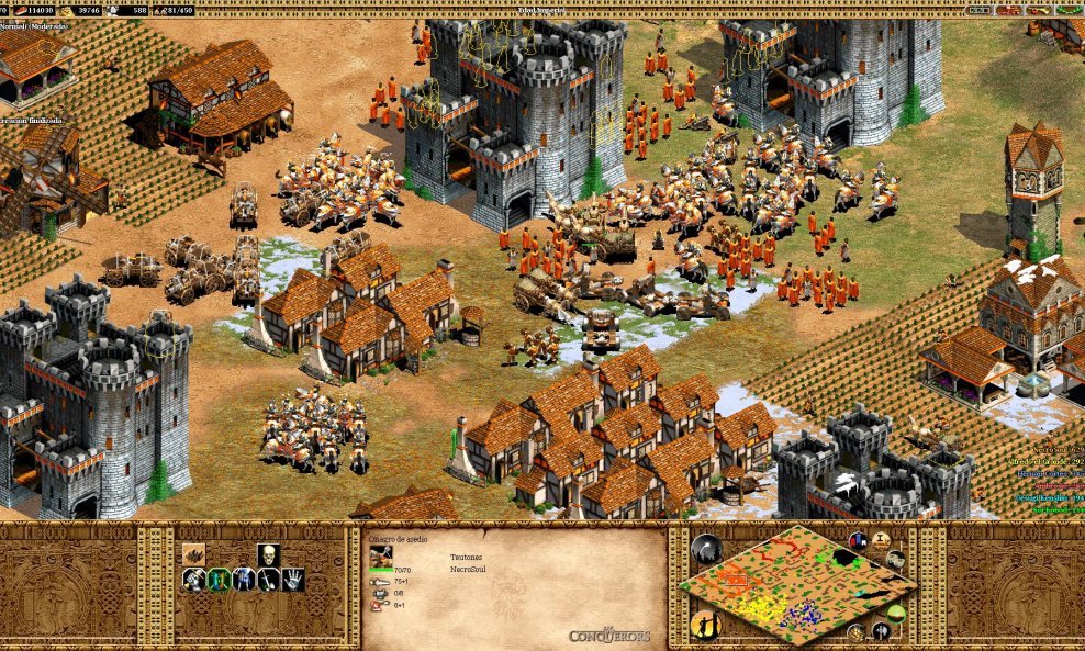 Age of Empires 2 screenshot