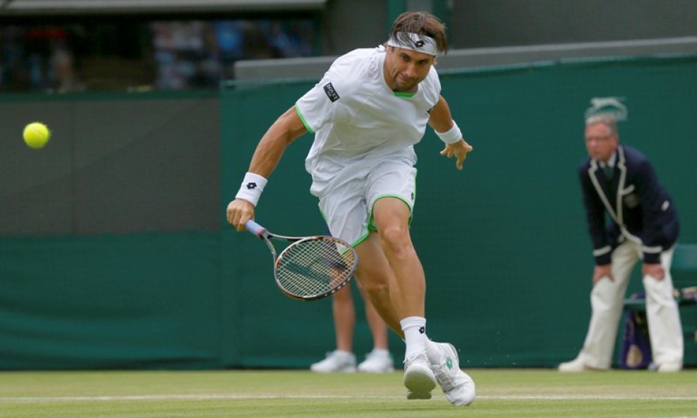 David Ferrer