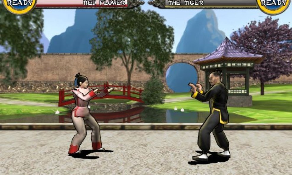 Dragon Fist 3D