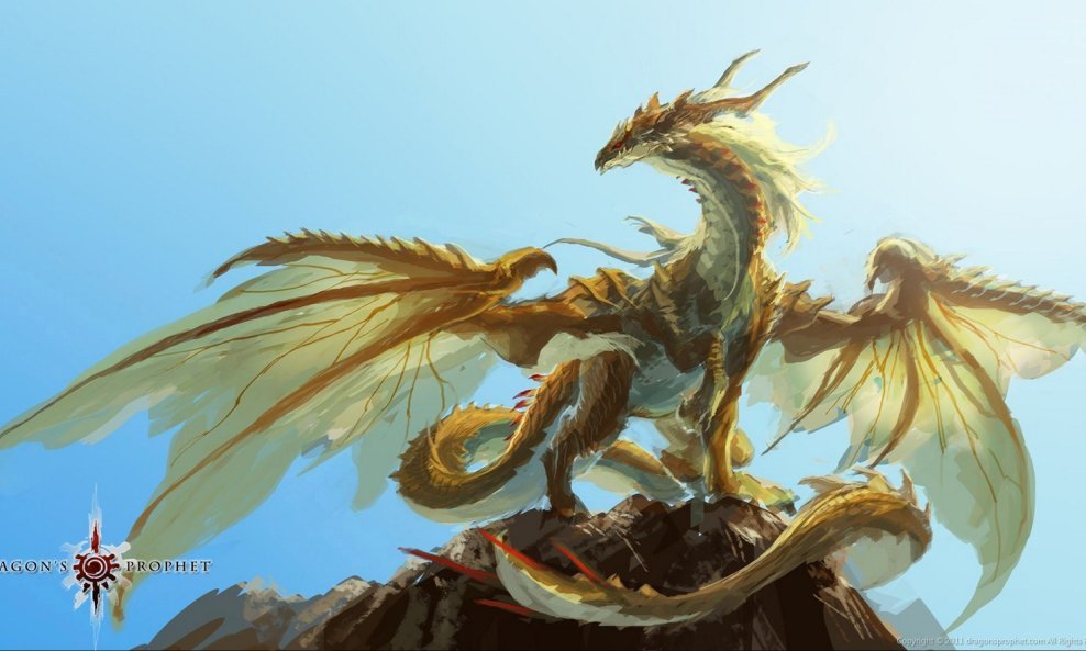 Dragon's Prophet art