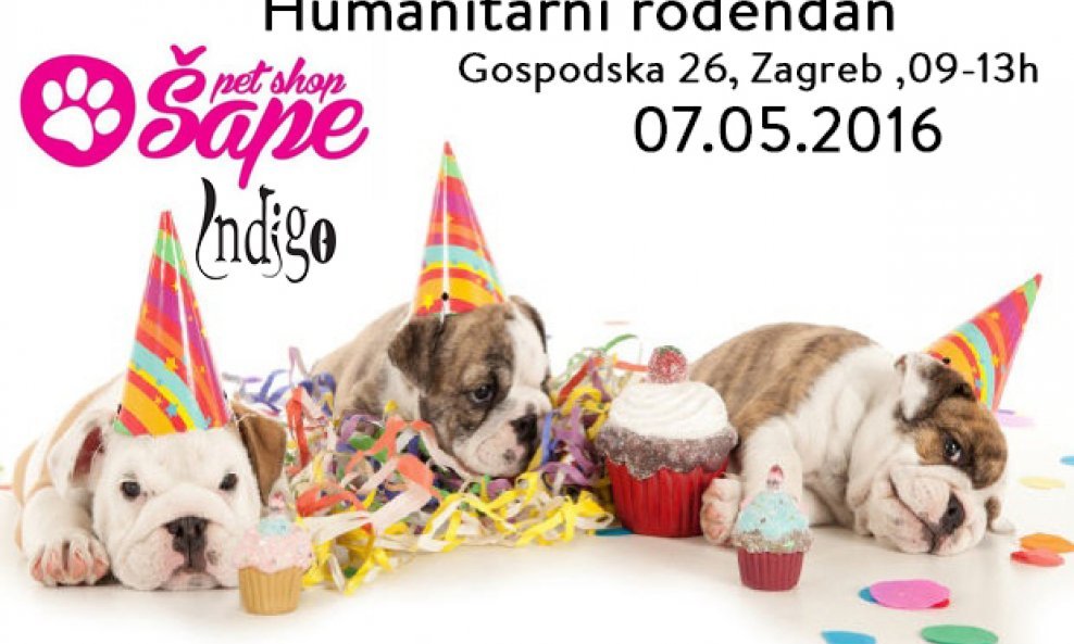 humanitarni rođendan pet shop šape