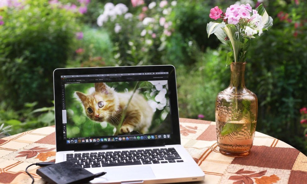 Fotografije je moguće obrađivati i nizom besplatnih alata dostupnih online