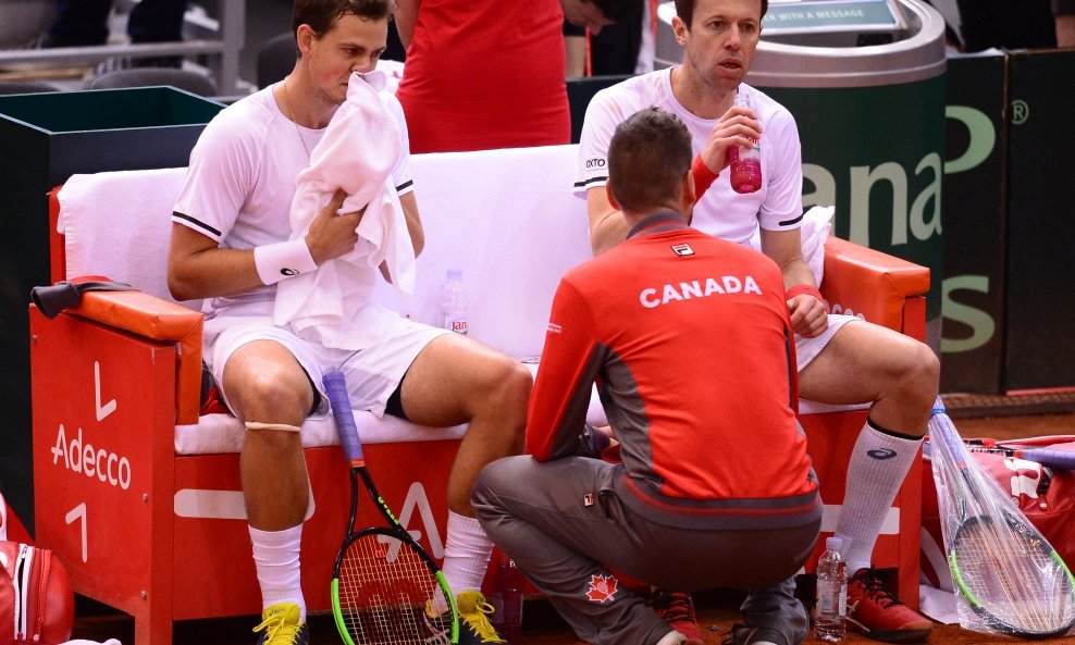 Nestor, Pospisil i izbornik Dancevic