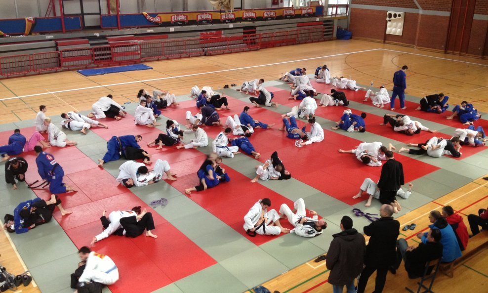 Seminar o brazilskoj jiujisti