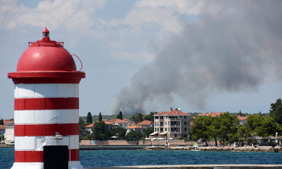 Gori borova šuma na predjelu Kožino u Zadarskoj županiji