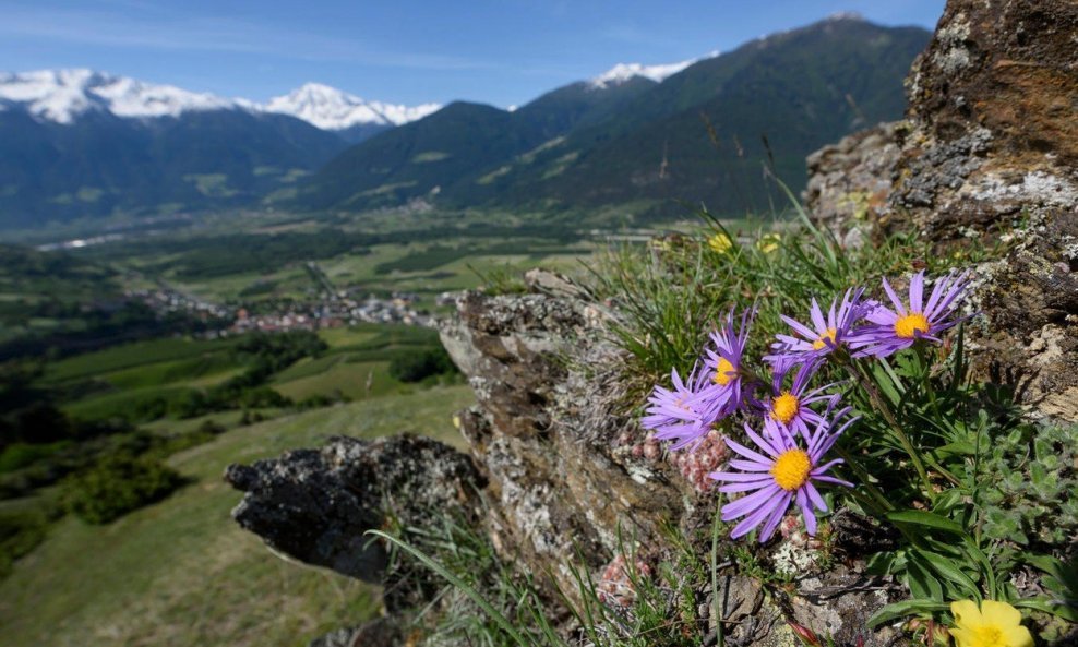 Južni Tirol