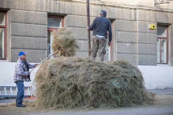 Radnici na Trgu 128. brigade Hrvatske vojske ponovno postavljaju 'Stog sijena' 