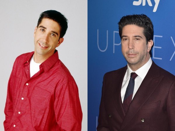 David Schwimmer nekoć i sad