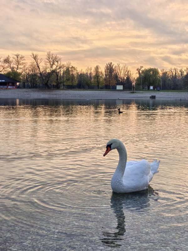 Jasminka Đaković, fotografirano Huawei nova 9 pametnim telefonom