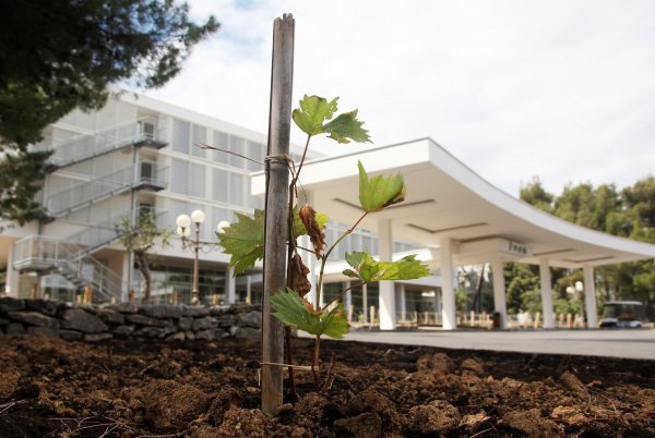 Nadograđuju hotel Ivan u sklopu Solarisa u Šibeniku Duško Jarmaz/Pixsell