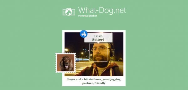 Microsoftova aplikacija What Dog u akciji Screenshot/Miroslav Wranka