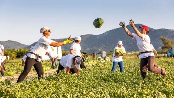 Zaposlenici Agro Neretve