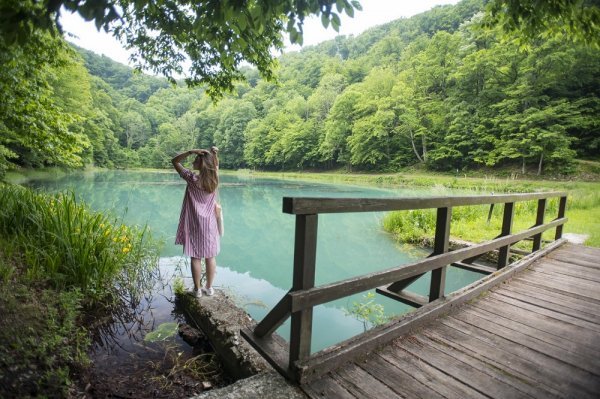 Park šuma Jankovac