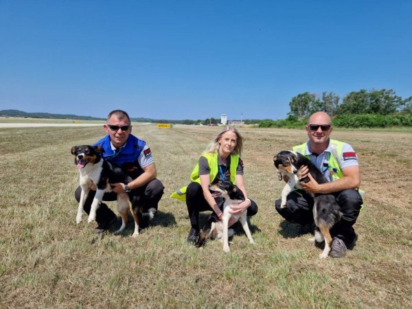 Djelatnici Securitasa s psima rastjeruju ptice u Zračnoj luci Pula