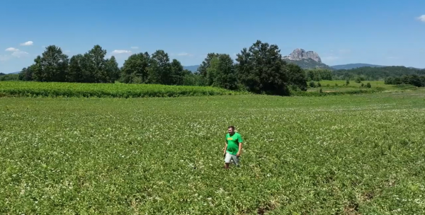 Korištenje dronova u poljoprivredi