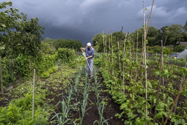 Radnici na farmama koji su izloženi pesticidim češće razvijaju teške bolesti