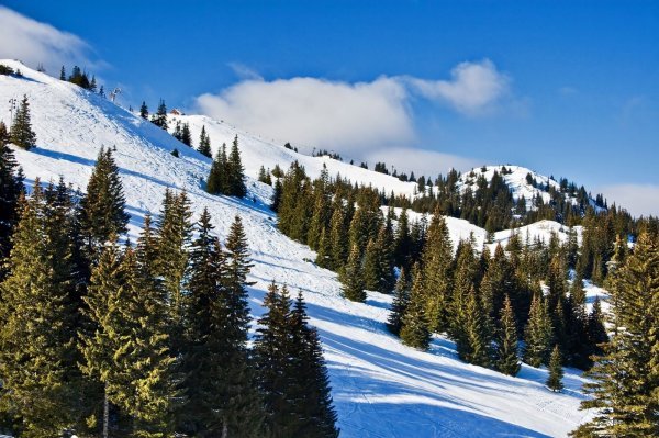 Jahorina