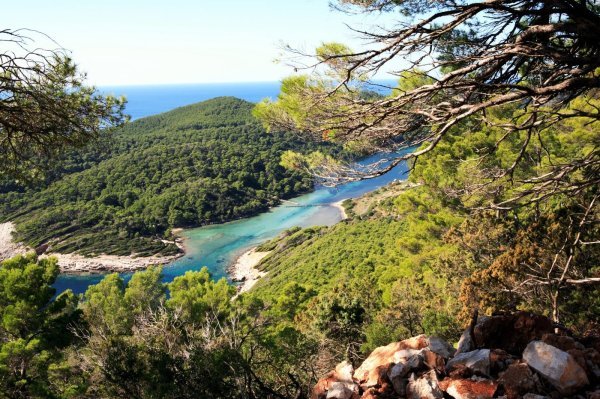 Mljet