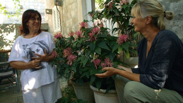 Posebno su je se dojmili vrtovi barunice Francesce Thyssen-Bornemisza i gospođe Đurđe Tedeschi