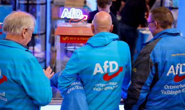 AfD uživa podršku 20 posto stanovnika Njemačke