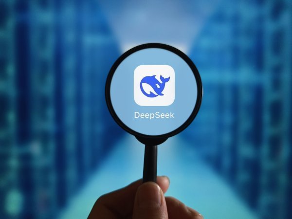 DeepSeek