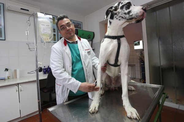 Veterinar Goran Spasovski