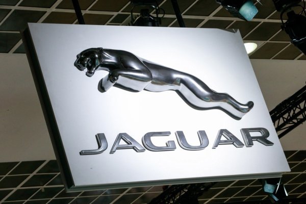 Logo Jaguara