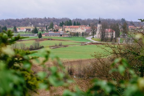 Zgrade dvorca su oronule i zarasle u bršljan