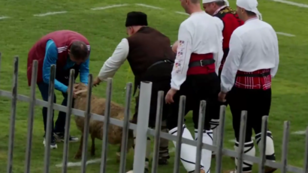 Bugarski klub izborio ulazak u prvu ligu; trener na poklon dobio živo janje