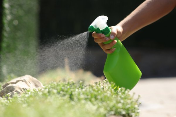 Prirodni pesticidi za vaš vrt – evo što treba znati