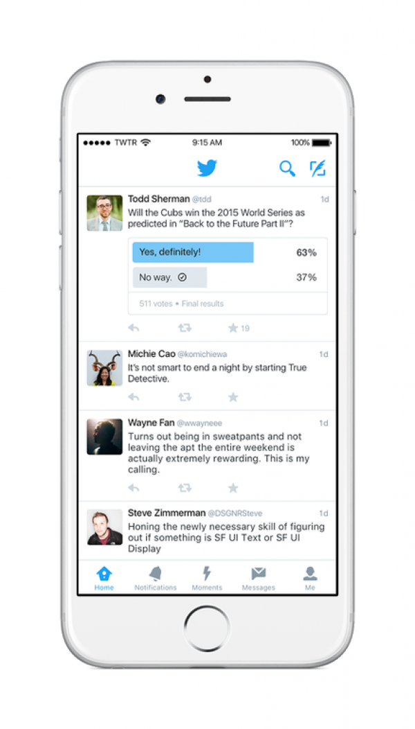 Twitter Polls Screenshot/Twitter