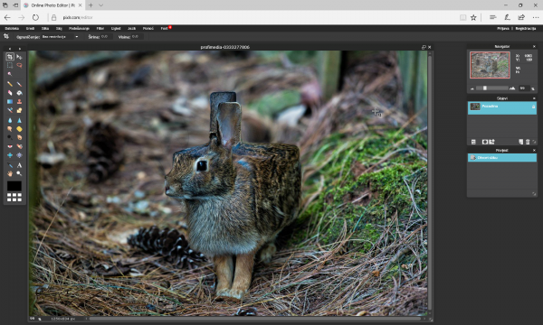 Sučelje Pixlr Online Photo Editora