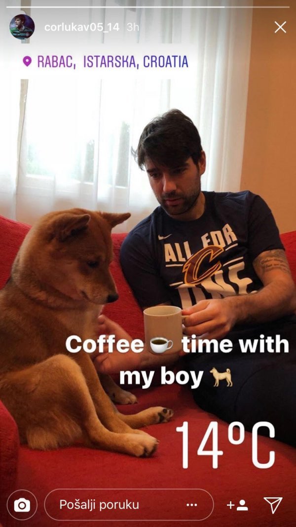 Vedran Ćorluka